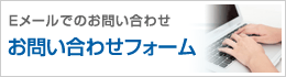 䤤碌ѥե